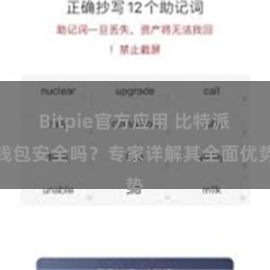 Bitpie官方应用 比特派钱包安全吗？专家详解其全面优势