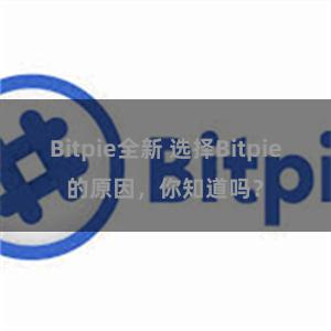 Bitpie全新 选择Bitpie的原因，你知道吗？