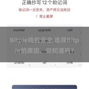 Bitpie钱包安全 选择Bitpie的原因，你知道吗？