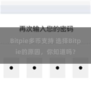 Bitpie多币支持 选择Bitpie的原因，你知道吗？