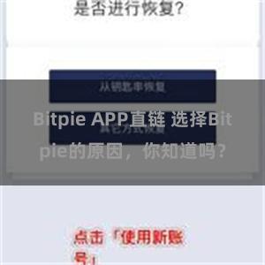 Bitpie APP直链 选择Bitpie的原因，你知道吗？