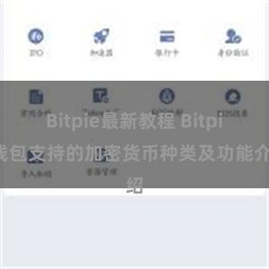 Bitpie最新教程 Bitpie钱包支持的加密货币种类及功能介绍