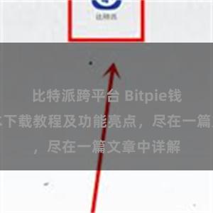 比特派跨平台 Bitpie钱包最新版本下载教程及功能亮点，尽在一篇文章中详解