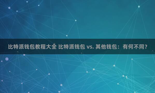 比特派钱包教程大全 比特派钱包 vs. 其他钱包：有何不同？