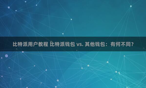 比特派用户教程 比特派钱包 vs. 其他钱包：有何不同？