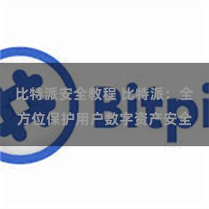 比特派安全教程 比特派：全方位保护用户数字资产安全