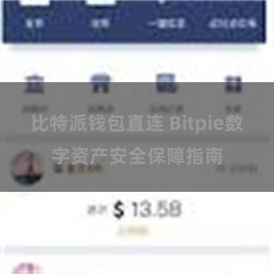 比特派钱包直连 Bitpie数字资产安全保障指南