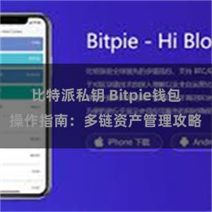 比特派私钥 Bitpie钱包操作指南：多链资产管理攻略