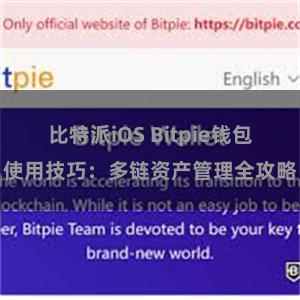 比特派iOS Bitpie钱包使用技巧：多链资产管理全攻略