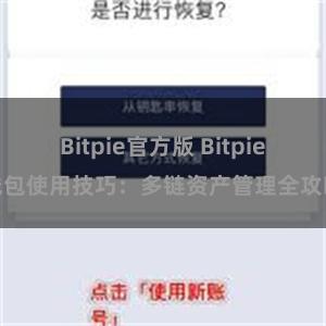 Bitpie官方版 Bitpie钱包使用技巧：多链资产管理全攻略