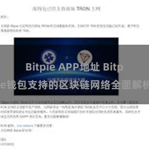 Bitpie APP地址 Bitpie钱包支持的区块链网络全面解析