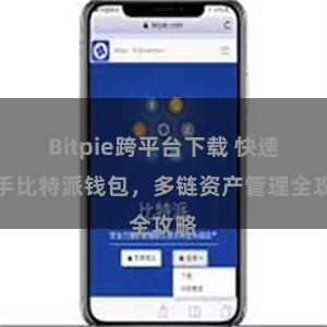 Bitpie跨平台下载 快速上手比特派钱包，多链资产管理全攻略