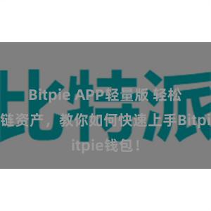 Bitpie APP轻量版 轻松管理多链资产，教你如何快速上手Bitpie钱包！