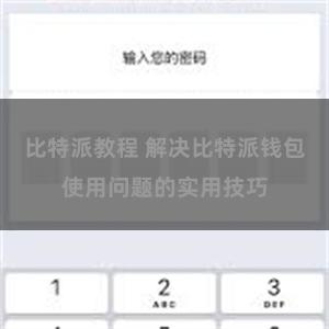 比特派教程 解决比特派钱包使用问题的实用技巧