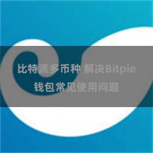 比特派多币种 解决Bitpie钱包常见使用问题