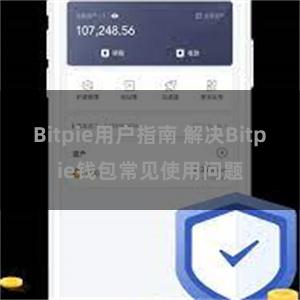 Bitpie用户指南 解决Bitpie钱包常见使用问题