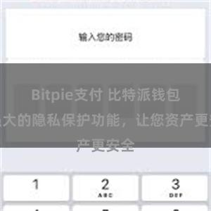 Bitpie支付 比特派钱包：强大的隐私保护功能，让您资产更安全