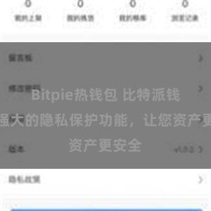 Bitpie热钱包 比特派钱包：强大的隐私保护功能，让您资产更安全