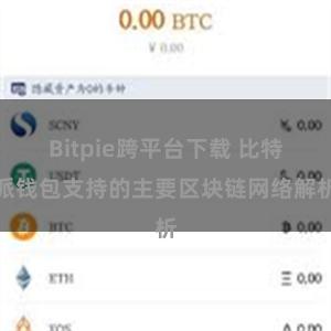 Bitpie跨平台下载 比特派钱包支持的主要区块链网络解析