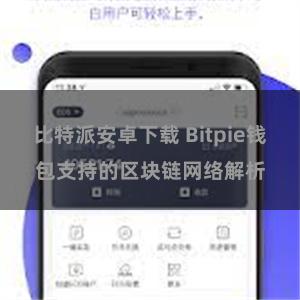 比特派安卓下载 Bitpie钱包支持的区块链网络解析