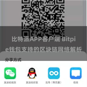 比特派APP客户端 Bitpie钱包支持的区块链网络解析