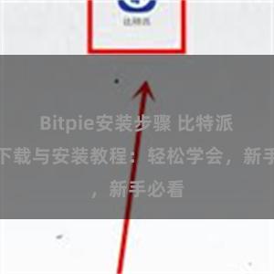 Bitpie安装步骤 比特派钱包下载与安装教程：轻松学会，新手必看