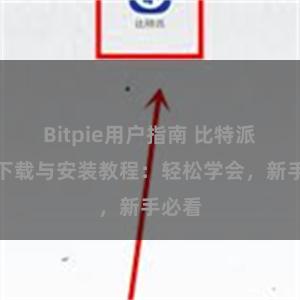 Bitpie用户指南 比特派钱包下载与安装教程：轻松学会，新手必看