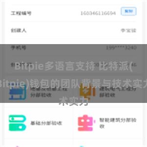 Bitpie多语言支持 比特派(Bitpie)钱包的团队背景与技术实力