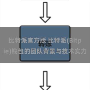 比特派官方版 比特派(Bitpie)钱包的团队背景与技术实力