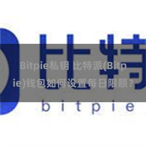 Bitpie私钥 比特派(Bitpie)钱包如何设置每日限额？