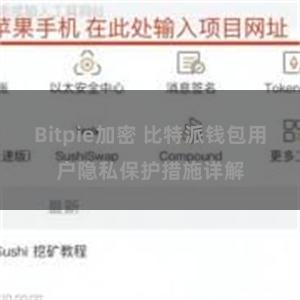 Bitpie加密 比特派钱包用户隐私保护措施详解