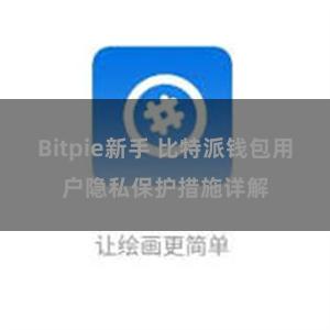 Bitpie新手 比特派钱包用户隐私保护措施详解